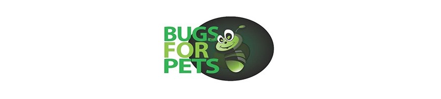 Bugs For Pets